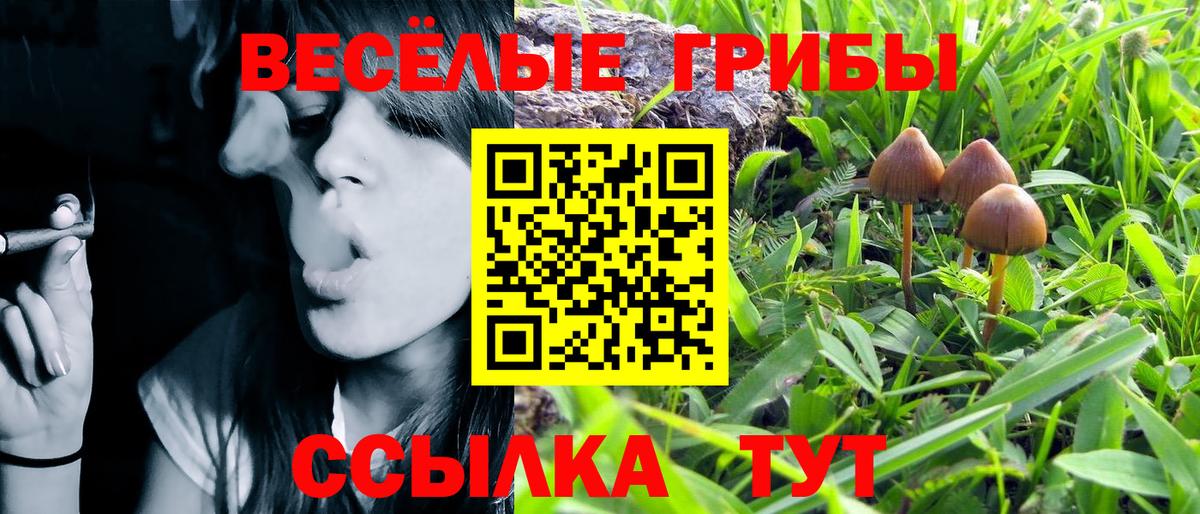 Томск  Псилоцибиновые грибы Magic Shrooms  Вход с VPN 